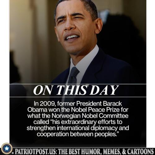 01K79XAD2QV9DF5YBCF1HX8MHJ