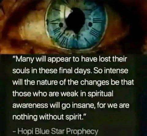 IMG_20251001_142218_792