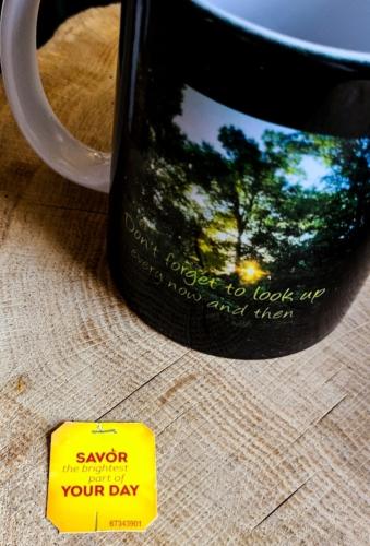 Screenshot_20251005_033259_Gallery