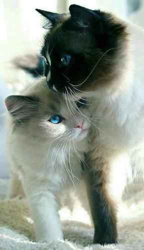 FB_IMG_1553642652475