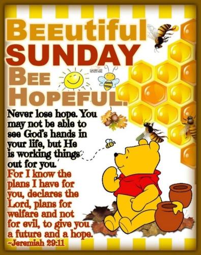 9d05db2de4136acf7dfd70c12a4de749