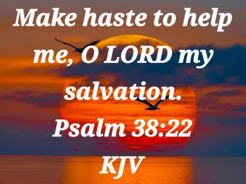 209e559b-0341-43a1-8add-9e87cb677536