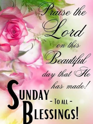 563450630_833737732493908_6818931633980041203_n