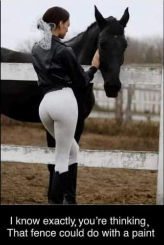 image_491A6322-5C32-41D1-830E-A4B02BC700C4