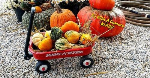 Screenshot_20251018_111639_Gallery