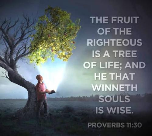 101125 - Winneth souls Porv 11-30