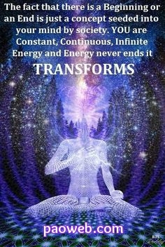 ,       ,        423193798_7468111