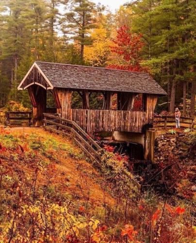 439809500b83e1eb3e28ef551efe0a27