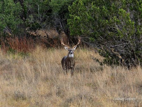 Keeping an eye on me