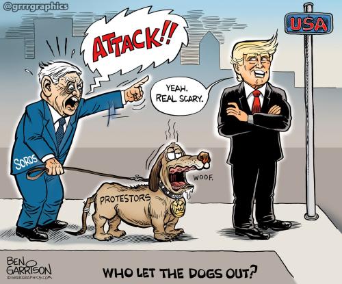 soros_-old-dog-protestors-no-kings-1536x1277