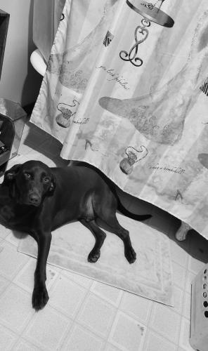 Screenshot_20251015_185303_Gallery