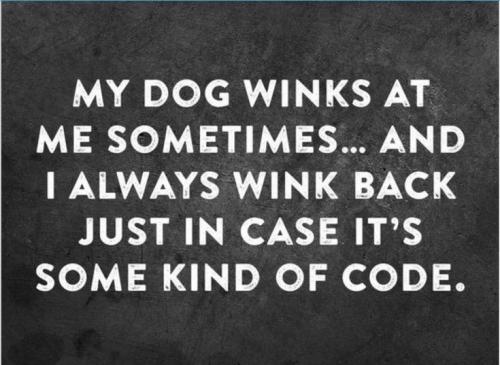 3f4a049dec342a7af31a74eea3a48e88