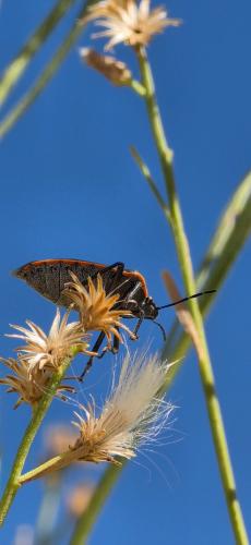 FB_IMG_1761356120368