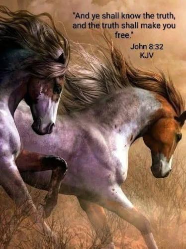 198f0096-f5a0-4b60-bce2-a2dec704c9b1