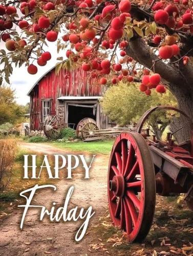 561378347_2540136406350471_3898740695831391941_n