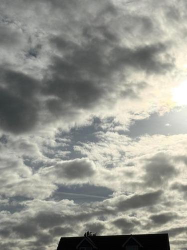 ccf23d65-0a88-4456-8c1f-a064ebf64a38