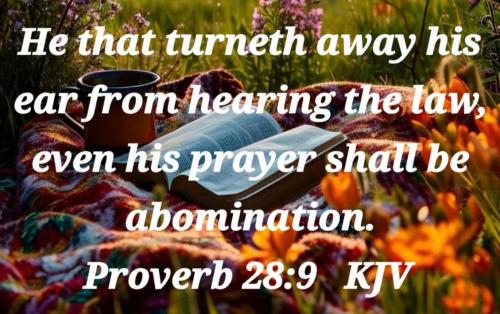 84ce68ae-45e6-4345-8f4b-0629f29e476b