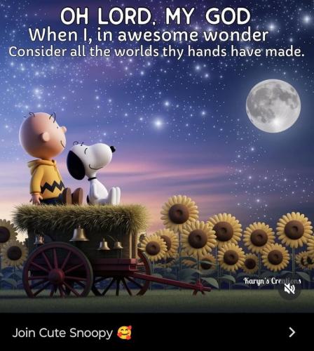 b32488a0dff24cf8a20a660bdd075365