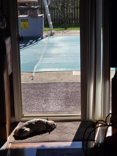 9fedd225-ecfd-4657-9f3f-8b563d6186a1