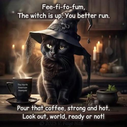 558094754_1266851538820468_669526742648477122_n