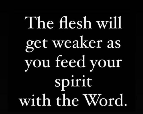 IMG_20251020_192444_532