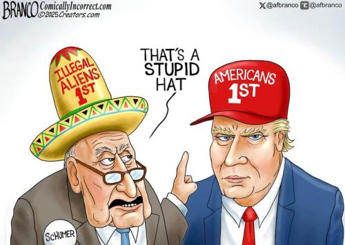 BRANCO ILLEGAL ALIENS AMERICA 1