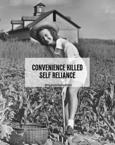 convenience-killed-self-reliance