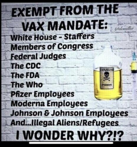 Screenshot_20251026_131702_Wimkin Free Speech Social Media