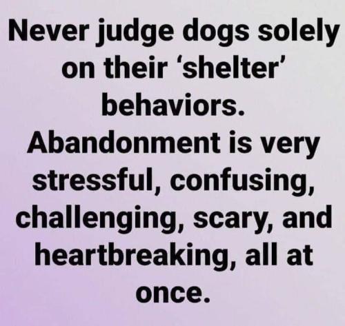 6c25f475e1c334ac6aab28204f2fd320