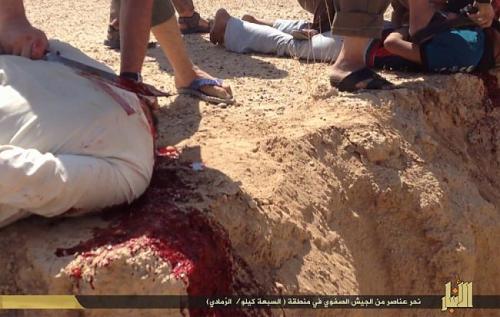 жесть-секретные-разделы-подборка-жесть-в-топ-1721975