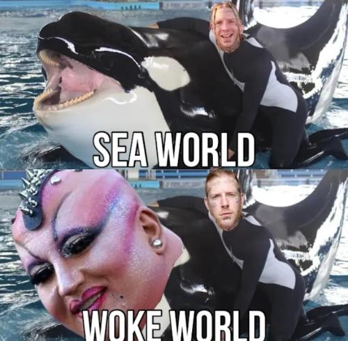 Screenshot_20251018_152209_YouTube