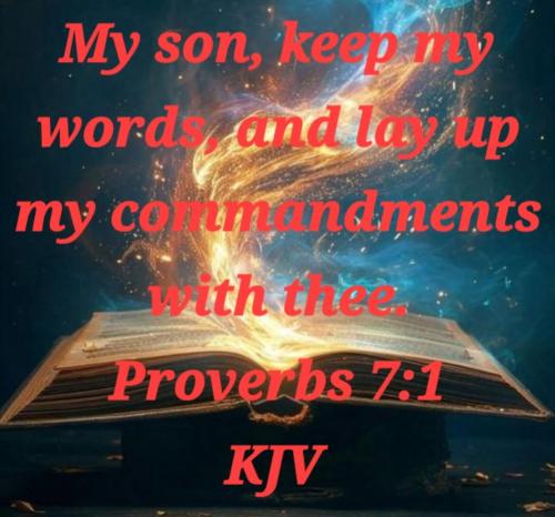 45c3ed8b-12ec-4781-9f07-7d797041317a