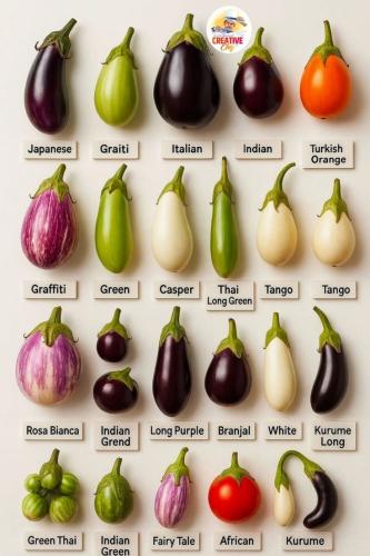 e5426576a81e1bce1e3fbbd5af42c7fa