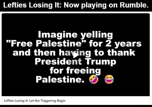 Lefties Losing It Now playing on Rumble.