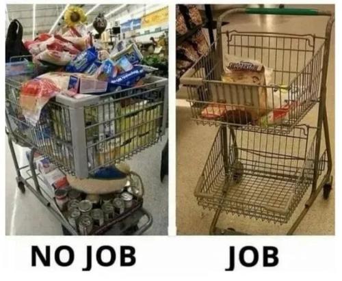 no-job-have-job