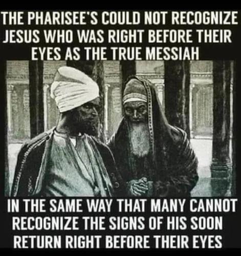 IMG_20251021_135408_929