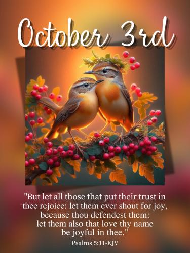 557811571_820145263853155_3259733874857853754_n