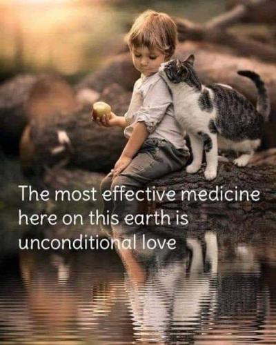 FB_IMG_1599920943594