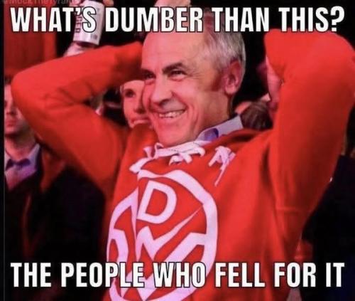 whats dumber