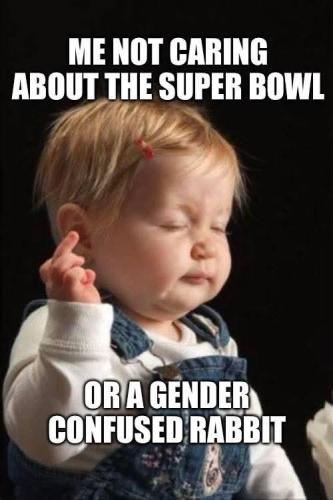 f381e1ad-930e-4e18-91cd-7285c1c39990