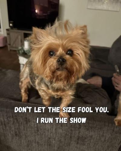 ad1975ff3b356153f20be8dbc6514384