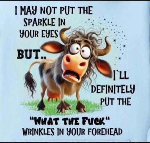 IMG_20251015_145848_520