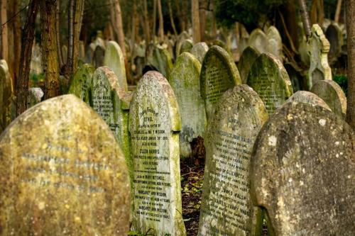 Highgate Cemetery, England 6