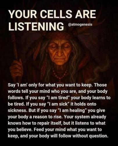 ,       ,        423193798_7468111