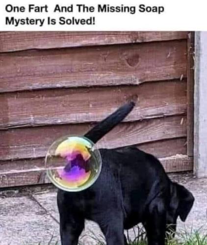 IMG_20251015_150057_202