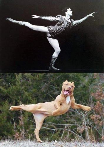 IMG_20251021_132938_565