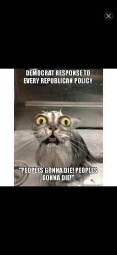 Screenshot_20251025_154156_YouTube