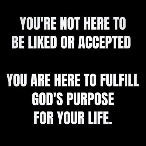 IMG_20251020_192709_070