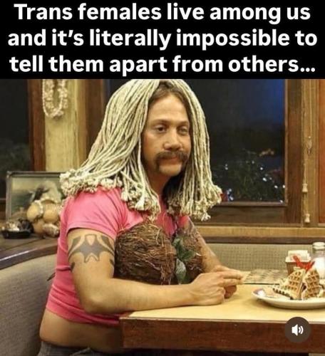 bee92f58-45c5-43a1-86b7-91b6f2d12bdd