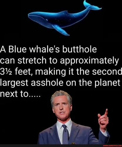 bc562e128eb9e0964ace4e45b310681ada74426af067708b2fd17ee9833eb9cd_1